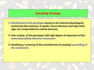 Breeding for Salt tolerance | PPTX