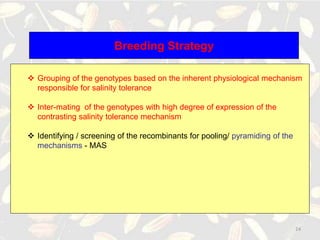 Breeding for Salt tolerance | PPTX