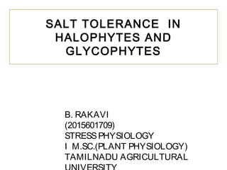 SALT TOLERANCE IN
HALOPHYTES AND
GLYCOPHYTES
B. RAKAVI
(2015601709)
STRESSPHYSIOLOGY
I M.SC.(PLANT PHYSIOLOGY)
TAMILNADU AGRICULTURAL
 