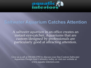A saltwater aquarium in an office creates an
 instant eye-catcher. Aquariums that are
  custom-designed by professionals are
 particularly good at attracting attention.



Give us a call at 210.444.2782 to discuss your fine Custom Saltwater
  Aquarium Design And Cabinetry today or visit our website at
                     www.aquatic-interiors.com
 