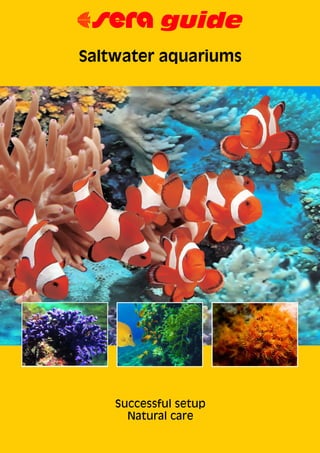 Saltwater aquariums
Successful setup
Natural care
67 guide
 