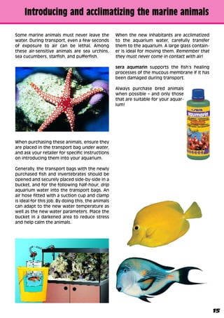 Are You New To Saltwater Aquariums
