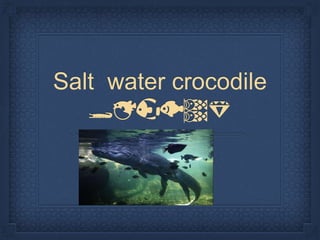 Salt water crocodile
🐊🐡🐠🐟🎏💎
By James
 