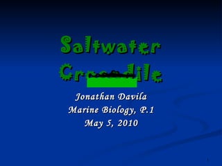 Saltwater Crocodile Jonathan Davila Marine Biology, P.1 May 5, 2010 