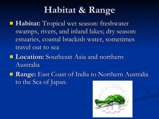 Habitat & Range Habitat:  Tropical wet season: freshwater swamps, rivers, and inland lakes; dry season: estuaries, coastal brackish water, sometimes travel out to sea Location:  Southeast Asia and northern Australia Range:  East Coast of India to Northern Australia to the Sea of Japan. 