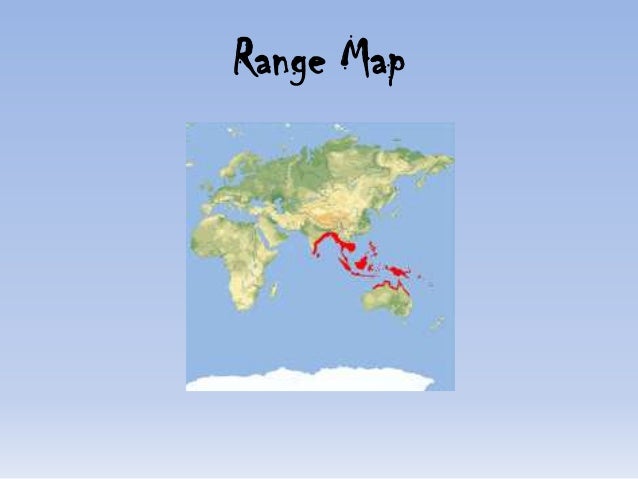 36+ Saltwater Crocodile Geographic Range Images