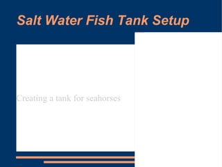 Salt Water Fish Tank Setup Creating a tank for seahorses 