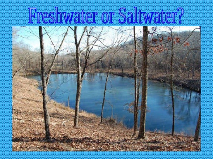 Saltwater vs. Freshwater