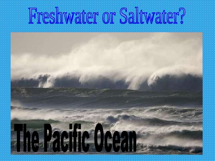 Saltwater vs. Freshwater