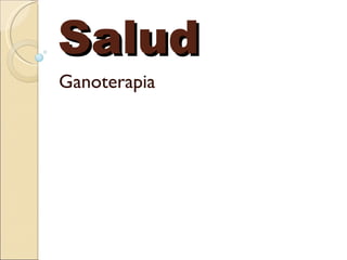 Salud Ganoterapia 