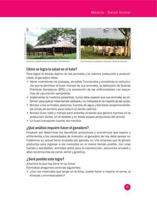 9
Módulo - Salud Animal
Construir instalaciones funcionales y Económicas Los animales en pastoreo requieren zonas de sombrío.
Cómo se logra la salud en el hato?
Para lograr el estado óptimo de los animales y la máxima producción y producti-
vidad, el ganadero debe:
•	 Hacer inversiones no costosas, sencillas, funcionales y duraderas en estructu-
ras que le permitan el buen manejo de sus animales, la aplicación de Buenas
Prácticas Ganaderas (BPG) y la prevención de las enfermedades con esque-
mas de vacunación apropiados.
•	 Implementar la medicina preventiva: nunca debe esperar que sus animales se en-
fermen para aplicar tratamientos costosos y no indicados en la mayoría de las veces.
•	 Brindar a los animales, pasturas, fuentes de agua y bienestar proporcionándo-
les zonas de sombrío para reducir el estrés calórico.
•	 Brindar buen trato y manejo para evitarles el estrés que genera mermas en la
producción láctea, en el destete y en todas etapas productivas del animal.
•	 Un buen transporte cuando los movilice.
¿Qué análisis requiere hacer el ganadero?
Empezar por determinar los beneficios productivos y económicos que espera y
enfrentarlos a las necesidades de inversión; el ganadero de hoy debe pensar en
trasformar su actual tierra ocupada por ganado, en una empresa que le genere
productos para ingresar a los mercados en el menor tiempo posible, con crías
fuertes y saludables, animales aptos para la reproducción, pariciones anuales y
altos rendimientos de carne, leche y genética.
¿Será posible este logro?
¡Examine lo que hoy tiene en su finca!
Formúlese preguntas como las siguientes:
•	 ¿Con los materiales que tengo en la finca, puedo hacer o mejorar el corral, el
embudo y el embarcadero?
Foto:RicardoQuinteroFedegán-fng.
Foto:JuanRafaelRestrepoFedegán-fng.
 