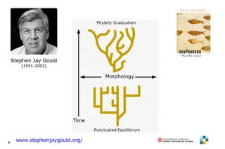 Stephen Jay Gould (1941-2002) www.stephenjaygould.org/ 