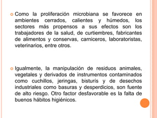 

Como la proliferación microbiana se favorece en
ambientes cerrados, calientes y húmedos, los
sectores más propensos a sus efectos son los
trabajadores de la salud, de curtiembres, fabricantes
de alimentos y conservas, carniceros, laboratoristas,
veterinarios, entre otros.



Igualmente, la manipulación de residuos animales,
vegetales y derivados de instrumentos contaminados
como cuchillos, jeringas, bisturís y de desechos
industriales como basuras y desperdicios, son fuente
de alto riesgo. Otro factor desfavorable es la falta de
buenos hábitos higiénicos.

 
