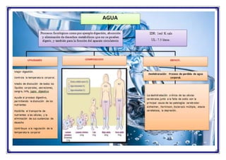 Salud alimentaria (2)