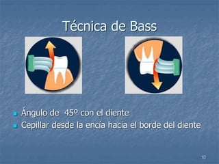 10
Técnica de Bass
 Ángulo de 45º con el diente
 Cepillar desde la encía hacia el borde del diente
 
