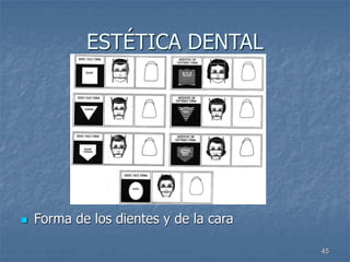 45
ESTÉTICA DENTAL
 Forma de los dientes y de la cara
 