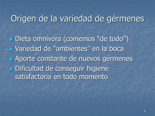 6
Origen de la variedad de gérmenes
 Dieta omnívora (comemos “de todo”)
 Variedad de “ambientes” en la boca
 Aporte constante de nuevos gérmenes
 Dificultad de conseguir higiene
satisfactoria en todo momento
 