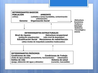 DETERMINANTES BASICOS
POBLACIÓN AMBIENTE
(niños) (cañadas y zonas inundables, contaminación
urbanización)
Genoma Organización Social
DETERMINANTES ESTRUCTURALES
Nivel de riqueza Estructura ocupacional
(población empobrecida) (alto nivel de desempleo)
Estratificación Social Mecanismos de redistribución
(altos niveles de inequidad) (subsidios inadecuados)
DETERMINANTES PRÓXIMOS
Condiciones de vida Condiciones de Trabajo
(Falta de agua potable, saneamiento, hacinamiento) (desempleo)
Estilos de vida Sistema de salud
(juego, obtención del agua y alimento) (curación, inaccesible)
•Estructura
Económica
•Cultura e
Ideología
•Gobierno
•Tecnología y
ciencia
 