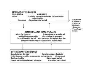 DETERMINANTES BASICOS
POBLACIÓN AMBIENTE
(niños) (cañadas y zonas inundables, contaminación
urbanización)
Genoma Organización Social
DETERMINANTES ESTRUCTURALES
Nivel de riqueza Estructura ocupacional
(población empobrecida) (alto nivel de desempleo)
Estratificación Social Mecanismos de redistribución
(altos niveles de inequidad) (subsidios inadecuados)
DETERMINANTES PRÓXIMOS
Condiciones de vida Condiciones de Trabajo
(Falta de agua potable, saneamiento, hacinamiento) (desempleo)
Estilos de vida Sistema de salud
(juego, obtención del agua y alimento) (curación, inaccesible)
•Estructura
Económica
•Cultura e
Ideología
•Gobierno
•Tecnología y
ciencia
 