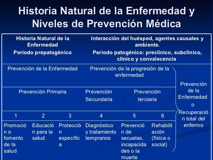 SALUD: ETAPAS DE LA SALUD A LA ENFERMEDAD