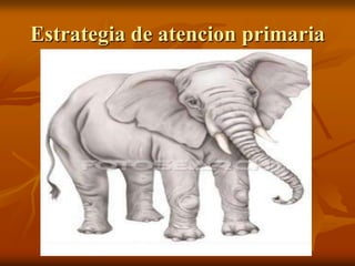 Estrategia de atencion primaria

 