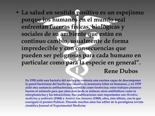 • La salud en sentido positivo es un espejismo
porque los humanos en el mundo real
enfrentan fuerzas físicas, biológicas y
sociales de su ambiente que están en
continuo cambio, usualmente de forma
impredecible y con consecuencias que
pueden ser peligrosas para cada humano en
particular como para la especie en general”.
Rene Dubos
En 1930 aisló una bacteria del suelo que contenía una enzima capaz de descomponer
la pared bacteriana del bacilo que causaba la neumonía lobar en humanos, y en 1939
aisló otra sustancia antibacteriana, conocida como tirotricina; estos trabajos pioneros
fueron el estímulo para que años más tarde se aislaran otros antibióticos como la
estreptomicina y las tetraciclinas. Sus publicaciones más importantes son Hombre,
medicina y ambiente (1968) y Animal tan humano (1968), obra, ésta última, con la que
consiguió el premio Pulitzer. Durante muchos años fue editor de la prestigiosa revista
científica Journal of Experimental Medicine
 