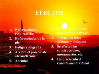 EFECTOS Enfermedades respiratorias Enfermedades de la piel Fatiga y migraña Acelera el proceso de aterosclerosis Anemias 6.  Afecta a los animales domésticos y salvajes Afecta a la flora (plantas y bosques) Se afectan las construcciones, monumentos, etc. Ha producido el  Calentamiento Global 