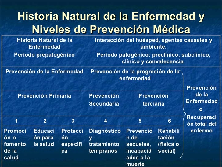 La belemnita la psoriasis las revocaciones