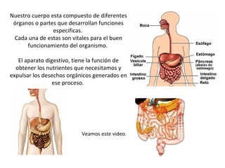 Nuestro cuerpo esta compuesto de diferentes órganos o partes que desarrollan funciones especificas.  Cada una de estas son vitales para el buen funcionamiento del organismo.  El aparato digestivo, tiene la función de obtener los nutrientes que necesitamos y expulsar los desechos orgánicos generados en ese proceso.  Veamos este video. 