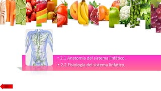 • 2.1 Anatomía del sistema linfático.
• 2.2 Fisiología del sistema linfático.
 