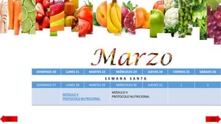 DOMINGO 20 LUNES 21 MARTES 22 MIÉRCOLES 23 JUEVES 24 VIERNES 25 SÁBADO 26
S E M A N A S A N T A
DOMINGO 27 LUNES 28 MARTES 29 MIÉRCOLES 30 JUEVES 31 1 2
MÓDULO V
PROTOCOLO NUTRICIONAL
MÓDULO V
PROTOCOLO NUTRICIONAL
 