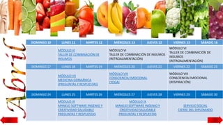 DOMINGO 10 LUNES 11 MARTES 12 MIÉRCOLES 13 JUEVES 12 VIERNES 15 SÁBADO 16
MÓDULO VI
TALLER DE COMBINACIÓN DE
INSUMOS
MÓDULO VI
TALLER DE COMBINACIÓN DE INSUMOS
(RETROALIMENTACIÓN)
MÓDULO VI
TALLER DE COMBINACIÓN DE
INSUMOS
(RETROALIMENTACIÓN)
DOMINGO 17 LUNES 18 MARTES 19 MIÉRCOLES 20 JUEVES 21 VIERNES 22 SÁBADO 23
MÓDULO VII
MEDICINA GERMÁNICA
(PREGUNTAS Y RESPUESTAS)
MÓDULO VIII
CONSCIENCIA EMOCIONAL
(YOGA)
MÓDULO VIII
CONSCIENCIA EMOCIONAL
(RESPIRACIÓN)
DOMINGO 24 LUNES 25 MARTES 26 MIÉRCOLES 27 JUEVES 28 VIERNES 29 SÁBADO 30
MÓDULO IX
MANEJO SOFTWARE INGENIO Y
CREATIVIDAD SALUDABLE
PREGUNTAS Y RESPUESTAS
MÓDULO IX
MANEJO SOFTWARE INGENIO Y
CREATIVIDAD SALUDABLE
PREGUNTAS Y RESPUESTAS
SERVICIO SOCIAL
CIERRE DEL DIPLOMADO
 