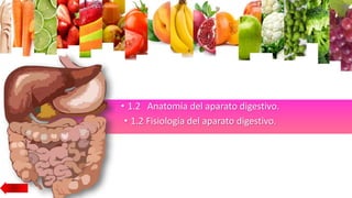 • 1.2 Anatomía del aparato digestivo.
• 1.2 Fisiología del aparato digestivo.
 