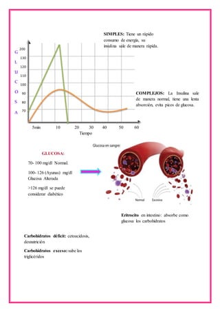 5min 10 20 30 40 50 60
Tiempo
200
130
120
110
100
90
80
70
G
L
U
C
O
S
A
COMPLEJOS: La Insulina sale
de manera normal, tiene una lenta
absorción, evita picos de glucosa.
SIMPLES: Tiene un rápido
consumo de energía, su
insulina sale de manera rápida.
GLUCOSA:
70- 100 mg/dl Normal.
100- 126 (Ayunas) mg/dl
Glucosa Alterada
>126 mg/dl se puede
considerar diabético
Eritrocito en intestino: absorbe como
glucosa los carbohidratos
Carbohidratos déficit: cetoacidosis,
desnutrición
Carbohidratos exceso: sube los
triglicéridos
 