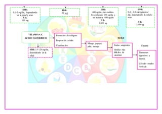 IDR:
0,1-2 mg/día, dependiendo
de la edad y sexo
UL:
100 mg
IDR:
50 µg
IDR:
400 ug/día para adultos.
En embarazo 600 ug/día y
en lactancia 800 ug/día
UL:
1.000 µg.
IDR:
0,4 – 2,8 microgramos/
día, dependiendo la edad y
sexo
UL:
3.000 µg
VITAMINA C
ACIDO ASCORBICO
Formación de colágeno.
Respiración celular.
Cicatrización
Mango, papaya,
piña, naranja
Encías sangrantes
Heridas más
difíciles de
cicatrizar
Trastornos
digestivos y
diarrea
Cálculos renales
/vesícula
IDR: 15-120 mg/día,
dependiendo de la
edad
Déficit
Exceso
 
