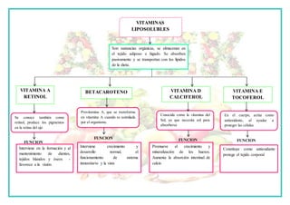 VITAMINAS
LIPOSOLUBLES
Son sustancias orgánicas, se almacenan en
el tejido adiposo e hígado. Se absorben
pasivamente y se transportan con los lípidos
de la dieta.
VITAMINA A
RETINOL
Se conoce también como
retinol, produce los pigmentos
en la retina del ojo
FUNCION
Interviene en la formación y al
mantenimiento de dientes,
tejidos blandos y óseos -
favorece a la visión
BETACAROTENO
Provitamina A, que se transforma
en vitamina A cuando es asimilada
por el organismo.
Interviene crecimiento y
desarrollo normal, el
funcionamiento de sistema
inmunitario y la vista
VITAMINA D
CALCIFEROL
VITAMINA E
TOCOFEROL
En el cuerpo, actúa como
antioxidante, al ayudar a
proteger las células
Conocida como la vitamina del
Sol, ya que necesita sol para
absorberse
Constituye como antioxidante
protege el tejido corporal
Promueve el crecimiento y
mineralización de los huesos.
Aumenta la absorción intestinal de
calcio
FUNCION FUNCION FUNCION
 