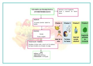 VITAMINA K FILOQUINONA
ANTIHEMORRAGICO
Interviene en la Coagulación
Ayuda a mantener los huesos
fuertes
DEFICIT
No puede cicatrizar rápido las
heridas.
EXCESO
Anemia
Forma coágulos
VEGETALES VERDES
Hortalizas de hoja verde, como la col, la espinaca,
las hojas de nabos, la col rizada, la acelga.
IDR:
NIÑOS: 30-55 ug
ADULTOS: 90-120 ug
EMBARAZO: 75-90 mg/dia
 