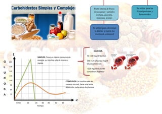 Parte interna de frutas
sin cascaras y cereales
(cebada, guayaba,
manzana, avena)
Se utiliza para las
Constipaciones y
hemorroides
Se utiliza para: disminuir
la diarrea y regula los
niveles de colesterol
G
L
U
C
O
S
A
5min 10 20 30 40 50 60
Tiempo
200
130
120
110
100
90
80
70
SIMPLES: Tiene un rápido consumo de
energía, su insulina sale de manera
rápida.
COMPLEJOS: La Insulina sale de
manera normal, tiene una lenta
absorción, evita picos de glucosa.
GLUCOSA:
70- 100 mg/dl Normal.
100- 126 (Ayunas) mg/dl
Glucosa Alterada
>126 mg/dl se puede
considerar diabetico
 