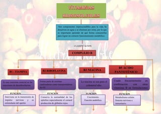 no se ha establecido
Son componentes imprescindibles para la vida. Se
disuelven en agua y se eliminan por orina, por lo que
es importante aprender de qué forma consumirlas
para lograr un correcto funcionamiento metabólico.
CLASIFICACION
COMPLEJO B
B1 - TIAMINA
Es una coenzima esencial en las
reacciones de decarboxilacion
FUNCION
Interviene en la transmisión de
impulso nervioso y es
estimulante del apetito
B2 RIBOFLAVINA
Forma parte de enzimas
catalizadoras como transportadoras
de O2
Conserva la normalidad de los
epitelios especialmente el corneal
producción de glóbulos rojos.
FUNCION
B3 NIACINA
La niacina se usa para el
colesterol alto.
FUNCION
Crecimiento.
Función anabólica.
B5 ÁCIDO
PANTOTÉNICO
Usado frecuentemente en
combinación con otras
vitaminas B en formulaciones
de vitaminas del complejo B.
FUNCION
Metabolismo celular.
Sistema nervioso e
inmunitario.
 