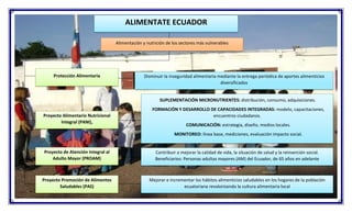 ALIMENTATE ECUADOR
Alimentación y nutrición de los sectores más vulnerables
Protección Alimentaria
Proyecto Alimentario Nu...