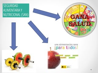 Salud alimentaria y nutricional (SAN)