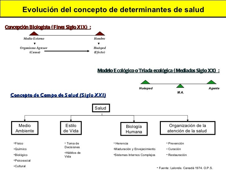Salud Ambiental - 