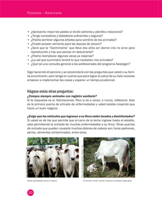 10
Fedegán - Asistegán
Razas apropiadas para el trópico El ternero recién nacido requiere cuidados especiales
•	 ¿Aprovecho mejor los pastos si divido potreros y planifico rotaciones?
•	 ¿Tengo comederos y bebederos suficientes y seguros?
•	 ¿Podría sembrar algunos árboles para sombrío de los animales?
•	 ¿Puedo proveer alimento para las épocas de verano?
•	 ¿Será que la “Cachimocha” que lleva dos años sin darme cría no sirve para
reproducción y hay que pensar en descartarla?
•	 ¿Podría reemplazar algunas vacas ya viejonas?
•	 ¿La sal que suministro tendrá lo que necesitan mis animales?
•	 ¿Qué tal una consulta general a los profesionales del programa Asistegán?
Siga haciendo el ejercicio y se sorprenderá con las preguntas que usted y su fami-
lia encontrarán, pero tenga en cuenta que para lograr la salud de su hato necesita
empezar a implementar las cosas y esperar un tiempo prudencial.
Hágase estas otras preguntas:
¿Compra siempre animales con registro sanitario?
Si la respuesta es sí, felicitaciones. Pero si es a veces, o nunca, reflexione: ésta
es la primera puerta de entrada de enfermedades y usted estaba creyendo que
hacía un buen negocio.
¿Exige que los vehículos que ingresan a su finca estén lavados y desinfectados?
Si usted es de los que permite que el carro de la leche ingrese hasta el establo,
está permitiendo la entrada de muchas enfermedades a su finca. Otras puertas
de entrada que pueden causarle muchos dolores de cabeza son: toros padrones,
perros, alimentos contaminados, entre otros.
Foto:JuanRafaelRestrepoFedegán-fng.
Foto:JuanFernandoCardonaFedegán-fng.
 