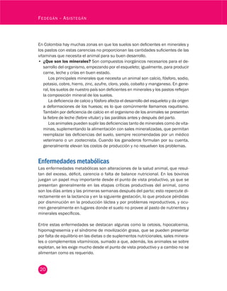 20
Fedegán - Asistegán
En Colombia hay muchas zonas en que los suelos son deficientes en minerales y
los pastos con estas carencias no proporcionan las cantidades suficientes de las
vitaminas que necesita el animal para su buen desarrollo.
•	 ¿Que son los minerales? Son compuestos inorgánicos necesarios para el de-
sarrollo del organismo, empezando por el esqueleto; igualmente, para producir
carne, leche y crías en buen estado.
Los principales minerales que necesita un animal son calcio, fósforo, sodio,
potasio, cobre, hierro, zinc, azufre, cloro, yodo, cobalto y manganeso. En gene-
ral, los suelos de nuestro país son deficientes en minerales y los pastos reflejan
la composición mineral de los suelos.
La deficiencia de calcio y fósforo afecta el desarrollo del esqueleto y da origen
a deformaciones de los huesos; es lo que comúnmente llamamos raquitismo.
También por deficiencia de calcio en el organismo de los animales se presentan
la fiebre de leche (fiebre vitular) y las parálisis antes y después del parto.
Los animales pueden suplir las deficiencias tanto de minerales como de vita-
minas, suplementando la alimentación con sales mineralizadas, que permitan
reemplazar las deficiencias del suelo, siempre recomendadas por un médico
veterinario o un zootecnista. Cuando los ganaderos formulan por su cuenta,
generalmente elevan los costos de producción y no resuelven los problemas.
Enfermedades metabólicas
Las enfermedades metabólicas son alteraciones de la salud animal, que resul-
tan del exceso, déficit, carencia o falta de balance nutricional. En los bovinos
juegan un papel muy importante desde el punto de vista productivo, ya que se
presentan generalmente en las etapas críticas productivas del animal, como
son los días antes y las primeras semanas después del parto; esto repercute di-
rectamente en la lactancia y en la siguiente gestación, lo que produce pérdidas
por disminución en la producción láctea y por problemas reproductivos, y ocu-
rren generalmente en lugares donde el suelo no provee al pasto de nutrientes y
minerales específicos.
Entre estas enfermedades se destacan algunas como la cetosis, hipocalcemia,
hipomagnesemia y el síndrome de movilización grasa, que se pueden presentar
por falta de equilibrio en las dietas o de suplementos nutricionales, sales minera-
les o complementos vitamínicos, sumado a que, además, los animales se sobre
explotan, se les exige mucho desde el punto de vista productivo y a cambio no se
alimentan como es requerido.
 