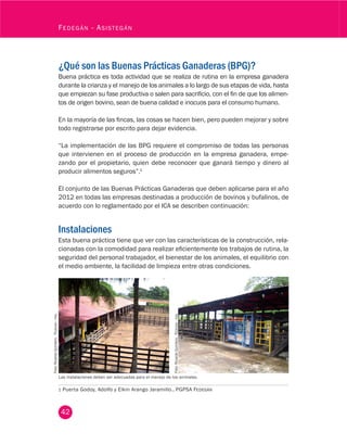 42
Fedegán - Asistegán
¿Qué son las Buenas Prácticas Ganaderas (BPG)?
Buena práctica es toda actividad que se realiza de rutina en la empresa ganadera
durante la crianza y el manejo de los animales a lo largo de sus etapas de vida, hasta
que empiezan su fase productiva o salen para sacrificio, con el fin de que los alimen-
tos de origen bovino, sean de buena calidad e inocuos para el consumo humano.
En la mayoría de las fincas, las cosas se hacen bien, pero pueden mejorar y sobre
todo registrarse por escrito para dejar evidencia.
“La implementación de las BPG requiere el compromiso de todas las personas
que intervienen en el proceso de producción en la empresa ganadera, empe-
zando por el propietario, quien debe reconocer que ganará tiempo y dinero al
producir alimentos seguros”.1
El conjunto de las Buenas Prácticas Ganaderas que deben aplicarse para el año
2012 en todas las empresas destinadas a producción de bovinos y bufalinos, de
acuerdo con lo reglamentado por el ICA se describen continuación:
Instalaciones
Esta buena práctica tiene que ver con las características de la construcción, rela-
cionadas con la comodidad para realizar eficientemente los trabajos de rutina, la
seguridad del personal trabajador, el bienestar de los animales, el equilibrio con
el medio ambiente, la facilidad de limpieza entre otras condiciones.
1	Puerta Godoy, Adolfo y Elkin Arango Jaramillo.. PGPSA Fedegán
Foto:RicardoQuintero.Fedegán-fng.
Foto:RicardoQuintero.Fedegán-fng.
Las instalaciones deben ser adecuadas para el manejo de los animales.
 