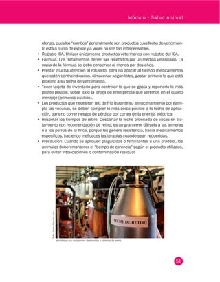 51
Módulo - Salud Animal
ofertas, pues los “combos” generalmente son productos cuya fecha de vencimien-
to está a punto de expirar y a veces no son tan indispensables.
•	 Registro ICA. Utilizar únicamente productos veterinarios con registro del ICA.
•	 Fórmula. Los tratamientos deben ser recetados por un médico veterinario. La
copia de la fórmula se debe conservar al menos por dos años.
•	 Prestar mucha atención al rotulado, para no aplicar al tiempo medicamentos
que estén contraindicados. Almacenar según lotes, gastar primero lo que está
próximo a su fecha de vencimiento.
•	 Tener tarjeta de inventario para controlar lo que se gasta y reponerlo lo más
pronto posible, sobre todo la droga de emergencia que veremos en el cuarto
mensaje (primeros auxilios).
•	 Los productos que necesitan red de frío durante su almacenamiento por ejem-
plo las vacunas, se deben comprar lo más cerca posible a la fecha de aplica-
ción, para no correr riesgos de pérdida por cortes de la energía eléctrica.
•	 Respetar los tiempos de retiro. Descartar la leche ordeñada de vacas en tra-
tamiento con recomendación de retiro; es un gran error dársela a las terneras
o a los perros de la finca, porque les genera resistencia, hacia medicamentos
específicos, haciendo ineficaces las terapias cuando sean requeridas.
•	 Precaución. Cuando se apliquen plaguicidas o fertilizantes a una pradera, los
animales deben mantener el “tiempo de carencia” según el producto utilizado,
para evitar intoxicaciones o contaminación residual.
Foto:ArchivoFedegán-fng.
Identifique los recipientes destinados a la leche de retiro.
 