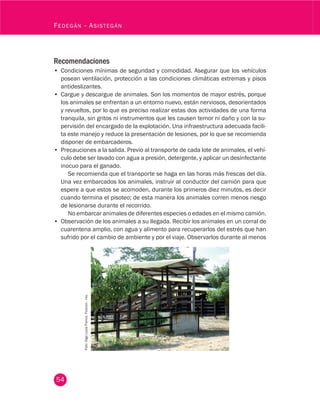 54
Fedegán - Asistegán
Recomendaciones
•	 Condiciones mínimas de seguridad y comodidad. Asegurar que los vehículos
posean ventilación, protección a las condiciones climáticas extremas y pisos
antideslizantes.
•	 Cargue y descargue de animales. Son los momentos de mayor estrés, porque
los animales se enfrentan a un entorno nuevo, están nerviosos, desorientados
y revueltos, por lo que es preciso realizar estas dos actividades de una forma
tranquila, sin gritos ni instrumentos que les causen temor ni daño y con la su-
pervisión del encargado de la explotación. Una infraestructura adecuada facili-
ta este manejo y reduce la presentación de lesiones, por lo que se recomienda
disponer de embarcaderos.
•	 Precauciones a la salida. Previo al transporte de cada lote de animales, el vehí-
culo debe ser lavado con agua a presión, detergente, y aplicar un desinfectante
inocuo para el ganado.
Se recomienda que el transporte se haga en las horas más frescas del día.
Una vez embarcados los animales, instruir al conductor del camión para que
espere a que estos se acomoden, durante los primeros diez minutos, es decir
cuando termina el pisoteo; de esta manera los animales corren menos riesgo
de lesionarse durante el recorrido.
No embarcar animales de diferentes especies o edades en el mismo camión.
•	 Observación de los animales a su llegada. Recibir los animales en un corral de
cuarentena amplio, con agua y alimento para recuperarlos del estrés que han
sufrido por el cambio de ambiente y por el viaje. Observarlos durante al menos
Foto:OlgaLucíaFranco.Fedegán-fng.
 