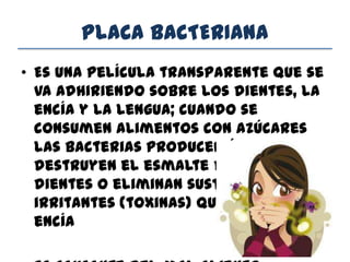 PLACA BACTERIANA
• Es una película transparente que se
va adhiriendo sobre los dientes, la
encía y la lengua; cuando se
consumen alimentos con azúcares
las bacterias producen ácidos que
destruyen el esmalte de los
dientes o eliminan sustancias
irritantes (toxinas) que inflaman la
encía
 
