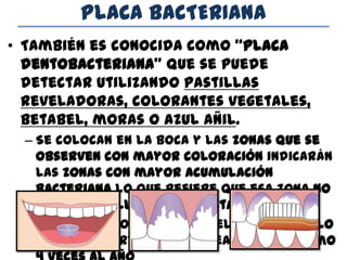 PLACA BACTERIANA
• También es conocida como “placa
dentobacteriana” que se puede
detectar utilizando pastillas
reveladoras, colorantes vegetales,
betabel, moras o azul añil.
– Se colocan en la boca y las zonas que se
observen con mayor coloración indicarán
las zonas con mayor acumulación
bacteriana lo que refiere que esa zona no
se está cepillando correctamente
– Se elimina con la ayuda del cepillo e hilo
dental y se recomienda realizarse mínimo
 