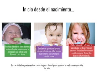 Inicia desde el nacimiento…
Cuando el bebé no tiene dientes
se debe limpiar suavemente la
encía con una tela o gasa
húmeda 1 vez al día
Desde que aparece el primer
diente del niño, se debe limpiar
suavemente con un cepillo
dental suave
En los niños de 1 a 3 años el
aseo bucal se debe realizar
después de cada alimento con
cepillo pequeño de cerdas
suaves y humedecido.
Esta actividad se puede realizar con o sin pasta dental y con ayuda de la madre o responsable
del niño
 